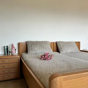 Apartment Am Hang Mit Alpenblick, Oberreute